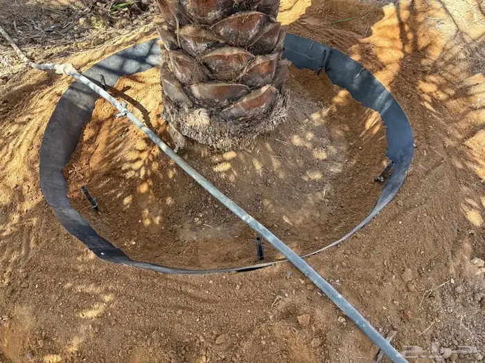 احواض زراعية 9