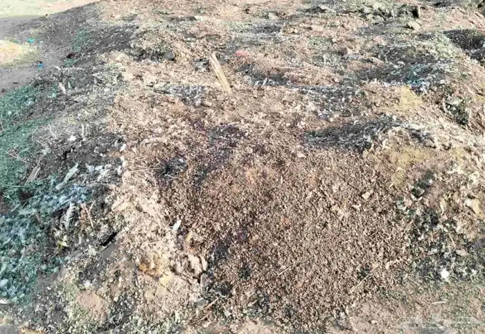 سماد دجاج كميات 0