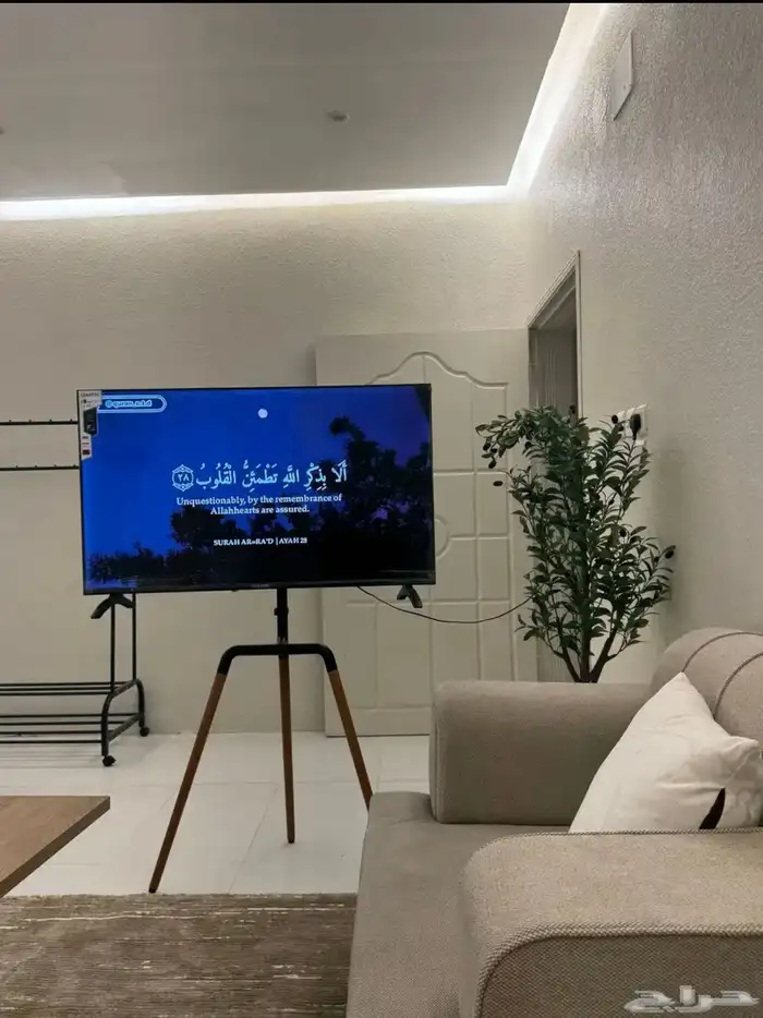 استديو للإيجار بالبدع نيوم شهري و يومي 1