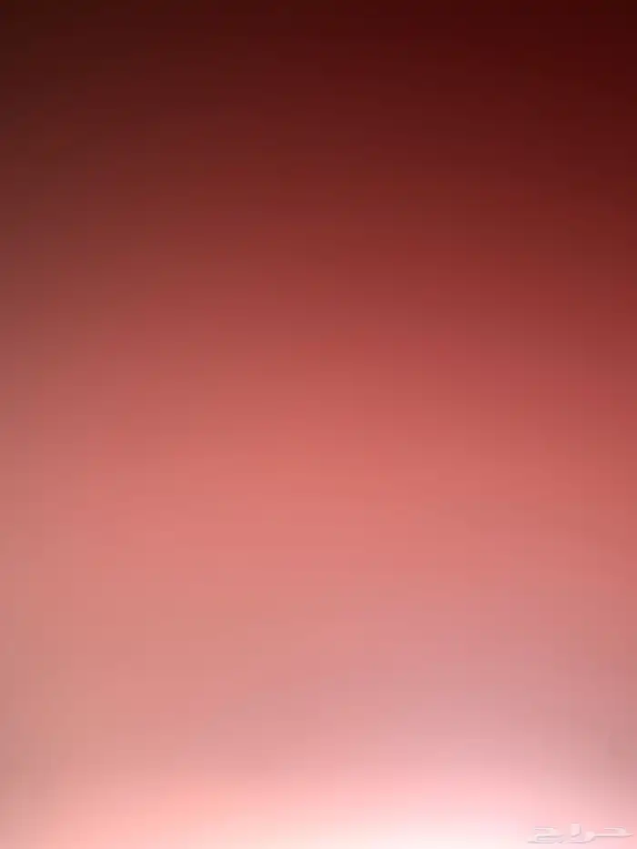 مطلوب سواق عرجاء ممتاز 0