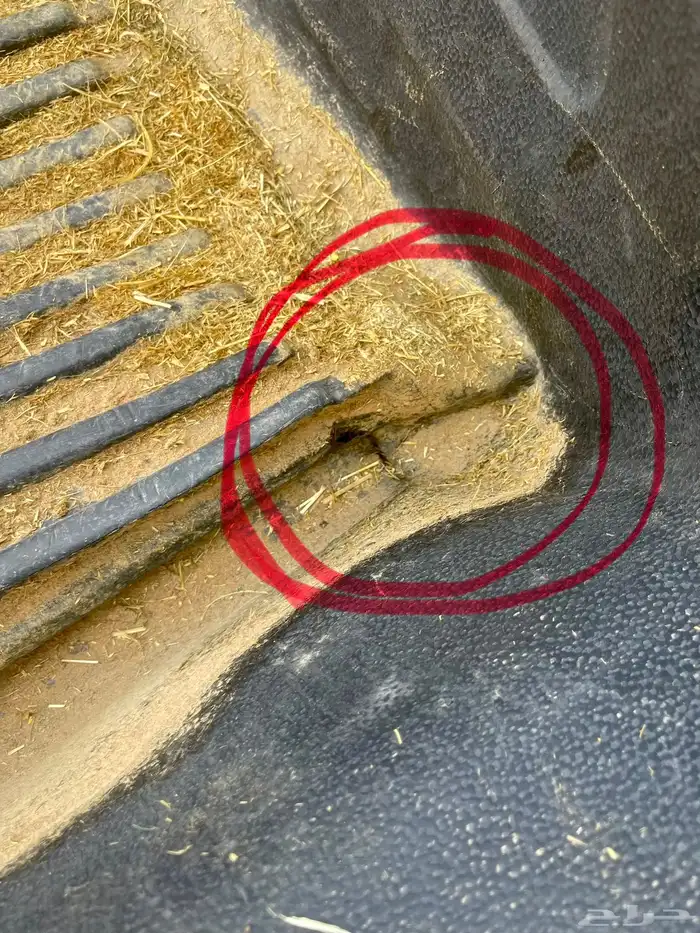 فيبر ددسن غمارتين 5