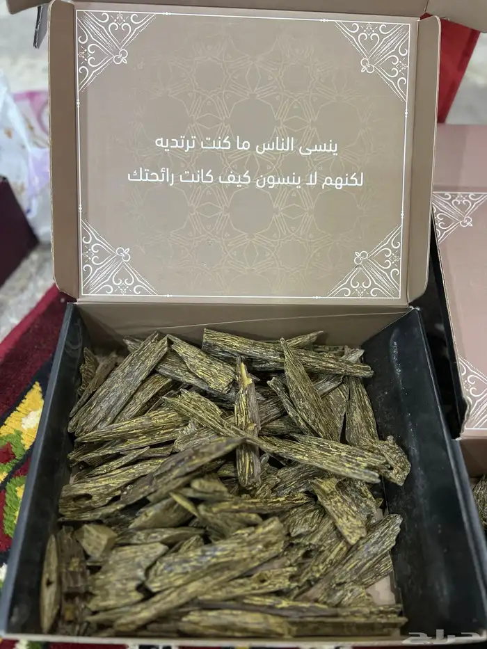 عود ازرق للمناسبات والمساجد 4