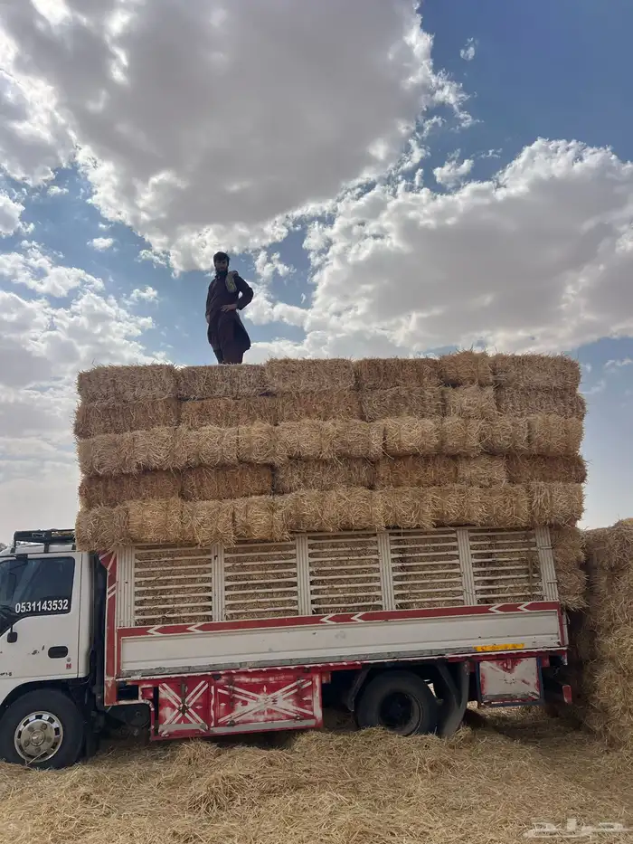 تبن بر جديد 2