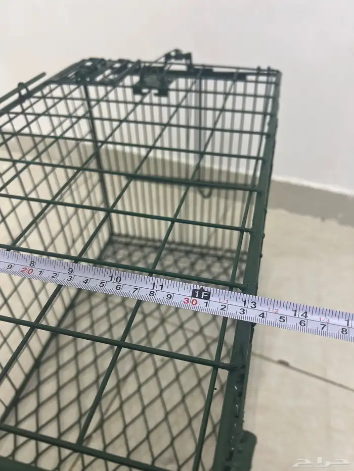 مصيده تمتيك 4