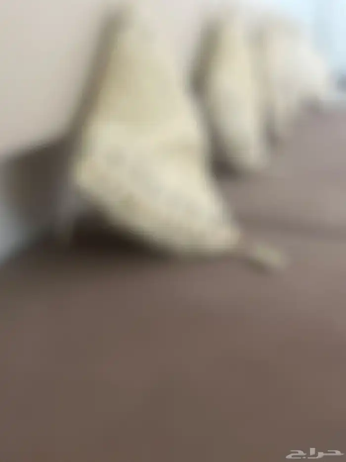 ابحث عن شقه اجار 0