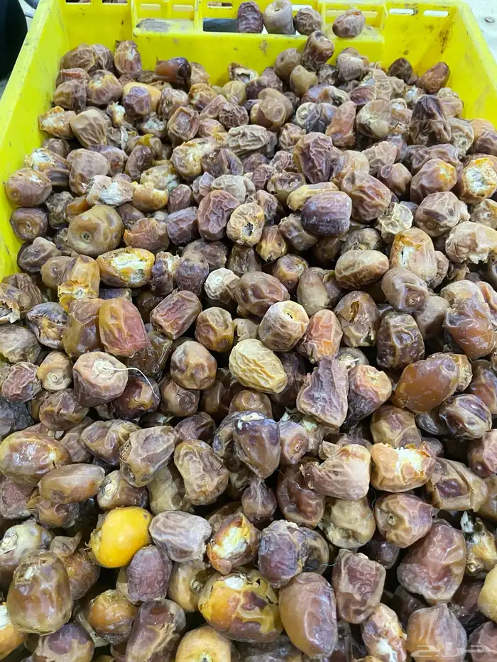 علف تمر للحلال 0
