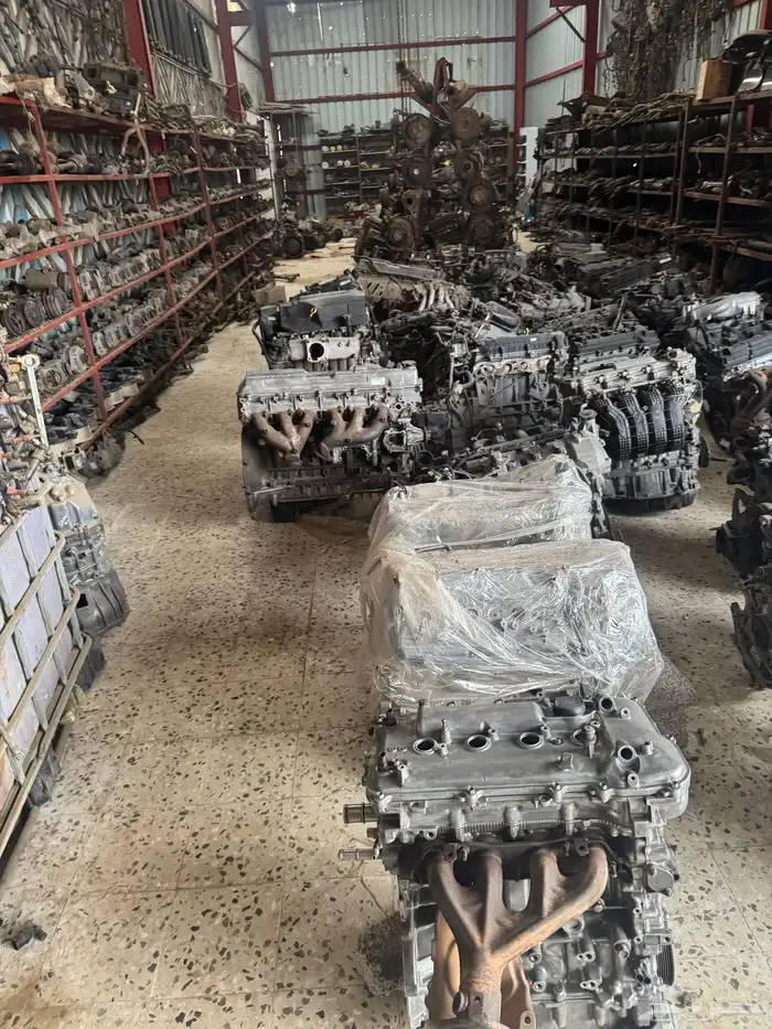 يوجد لديناء. جميع أنواع المكاين. 16