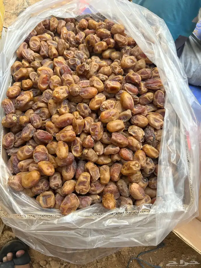 خلاص للبيع 1