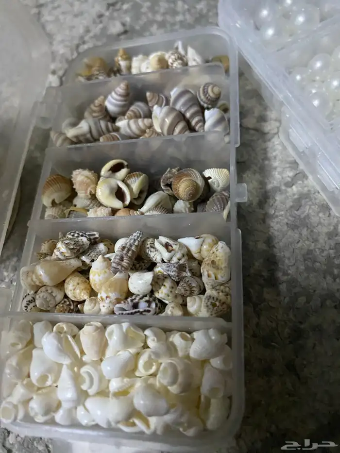 قوالب كونكريت وألوان وعدة كاملة لين كونكريت مشروع متكامل 35