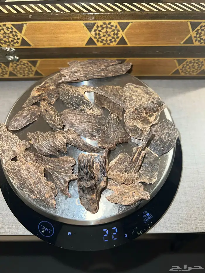 عود كمبودي 0