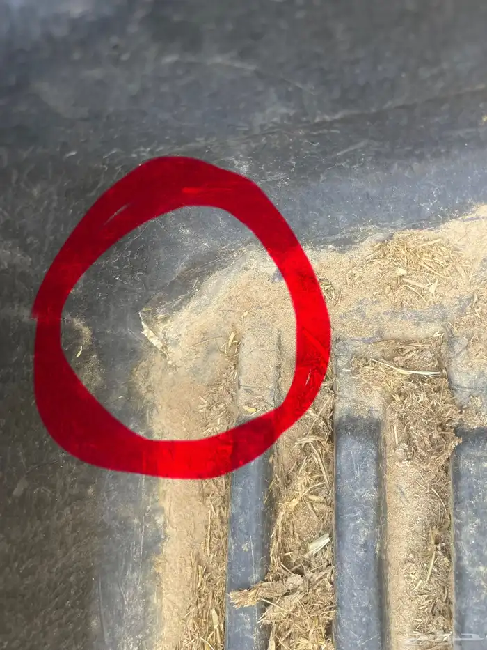 فيبر ددسن غمارتين 4