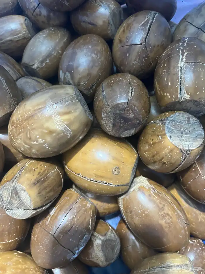 حبات الكوك 1