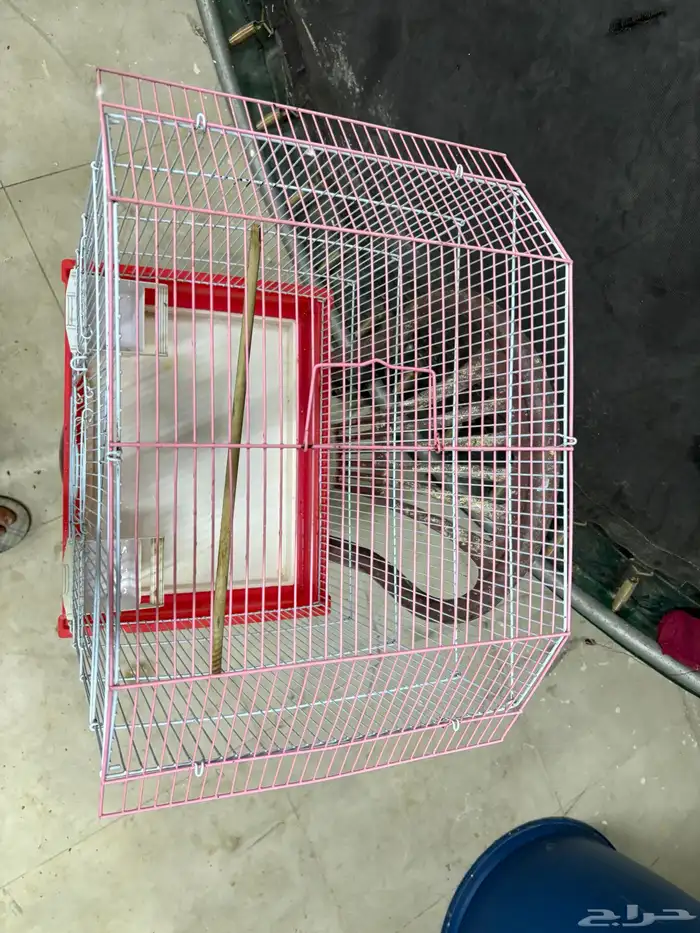 قفص بلابل 4
