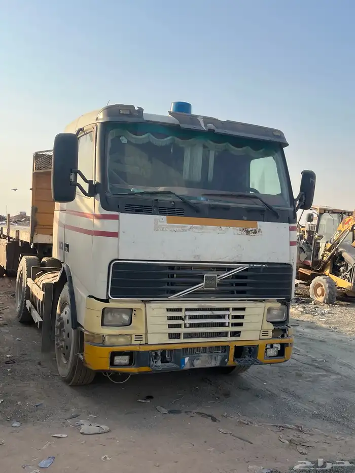 فلفو زاهد مديل 2000 9