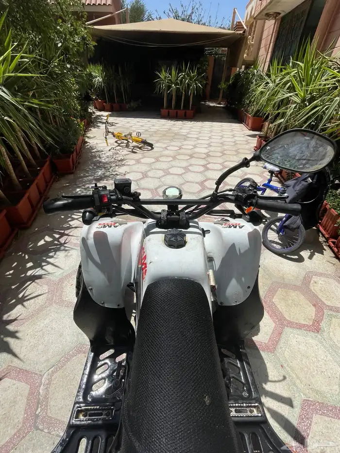 دباب سويدي 100 نظيف على الشرط 4