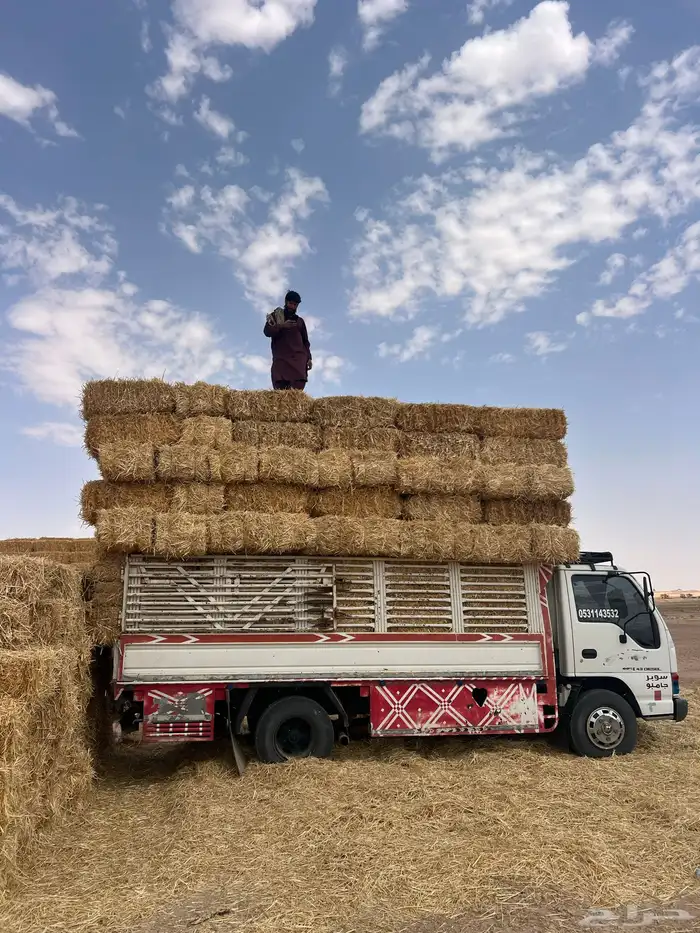 تبن بر جديد 3