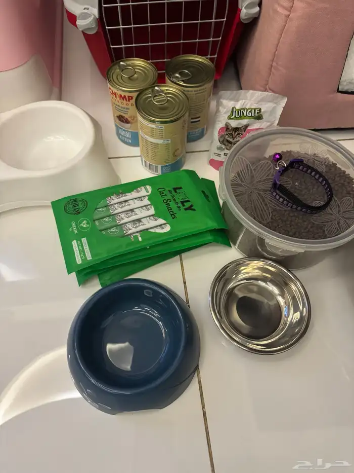 مستلزمات قطط 2