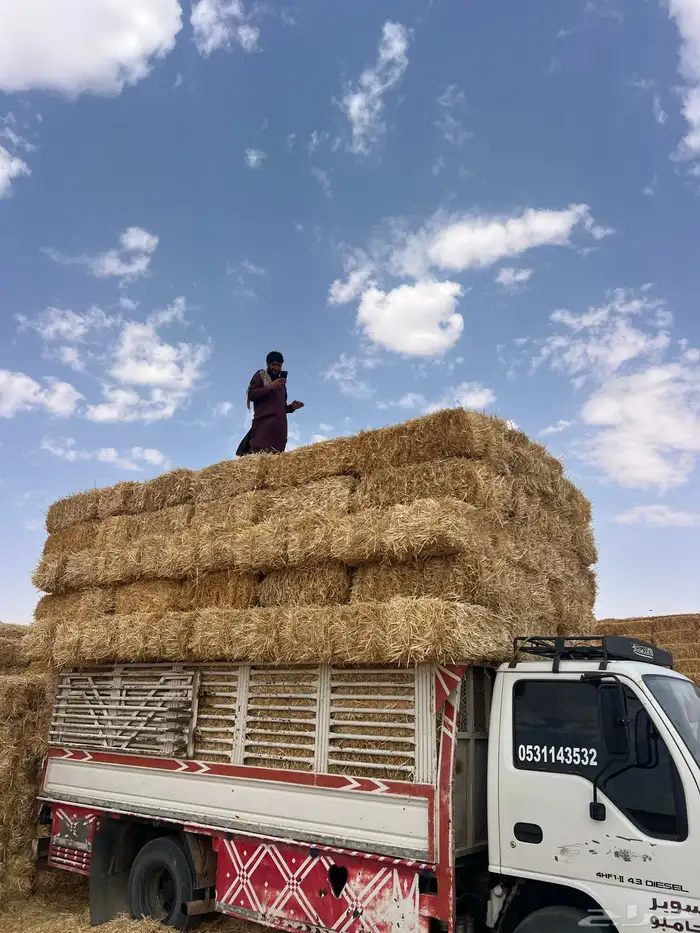 تبن بر جديد 0