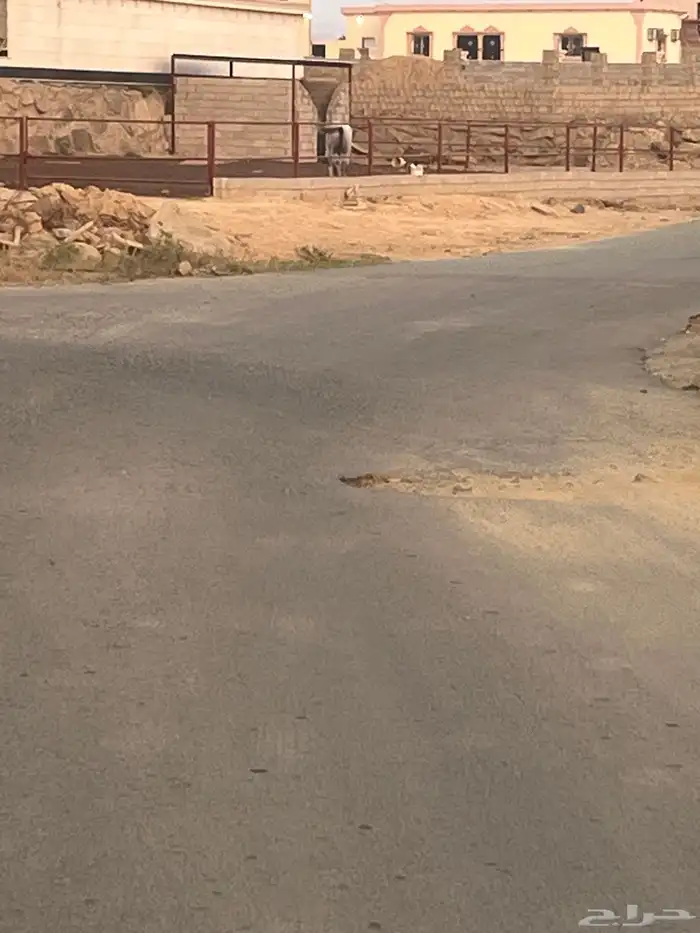 السلام عليكم ورحمة الله وبركاته سواق بلدوزر خبره متعطل 1