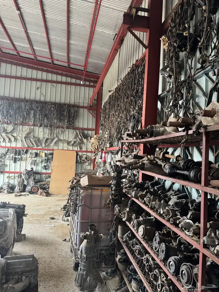 يوجد لديناء. جميع أنواع المكاين. 11