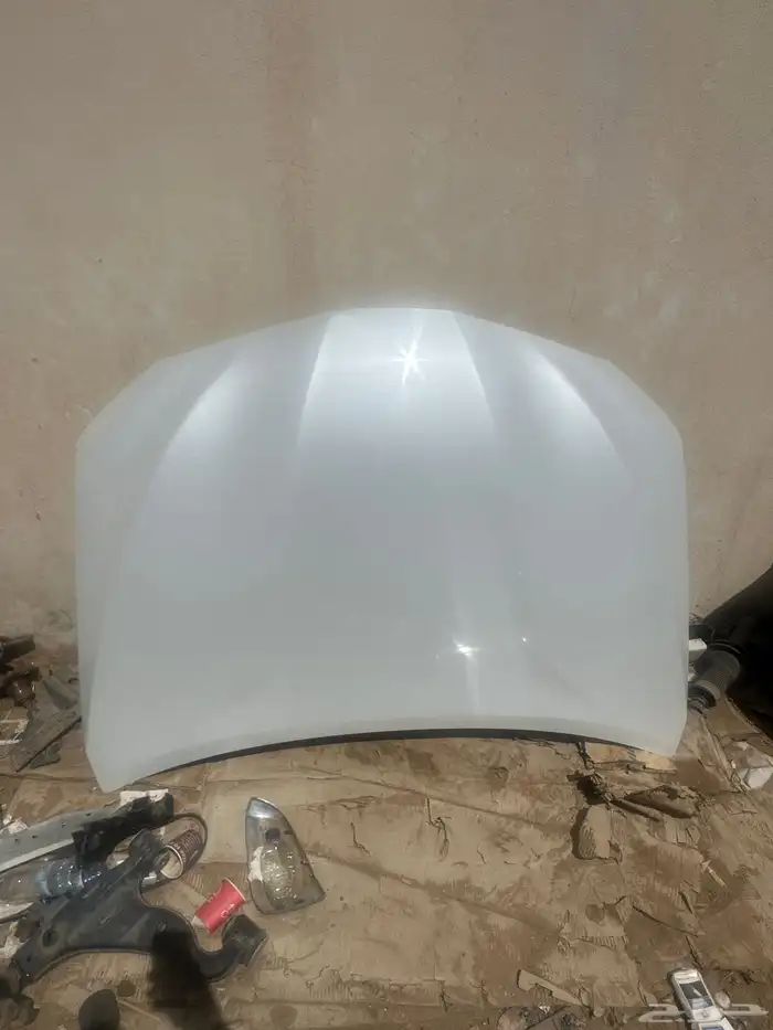 كبوت كامري 2024 لولي وكاله بلد 0