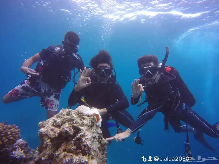 شهادة غوص معتمدة للتقديم العسكري 2