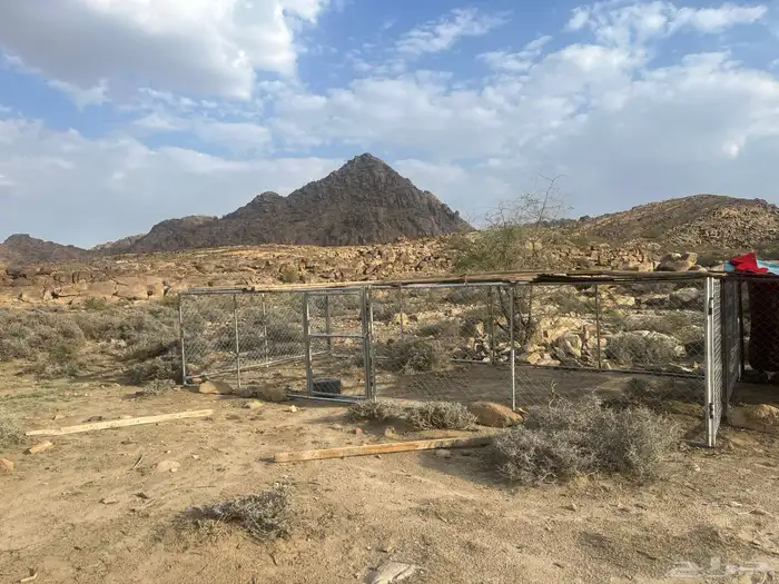 شبك للغنم او الابل 1