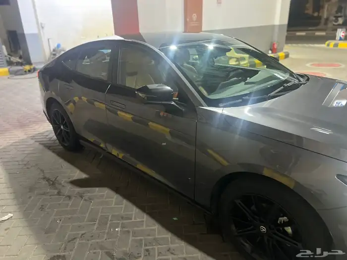 شانجان يوني في 2024 3