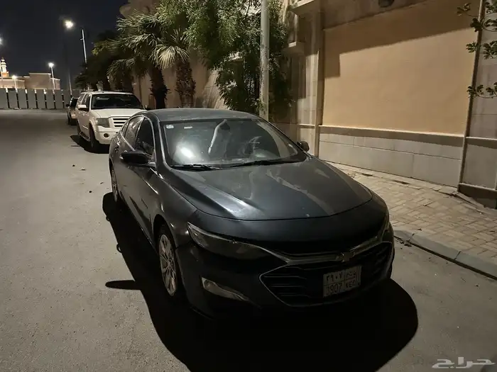 مليبو 2019 2