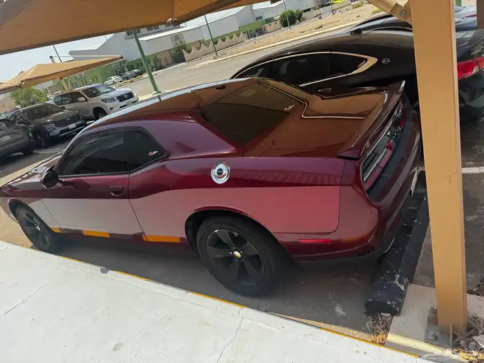 تشالنجر 2019 Challenger مالك اول 11