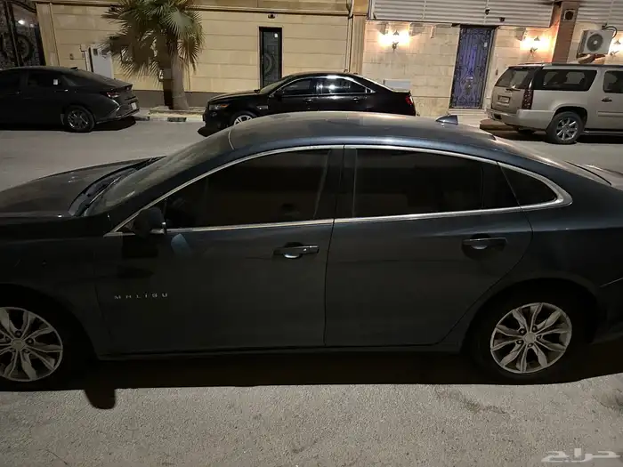مليبو 2019 1