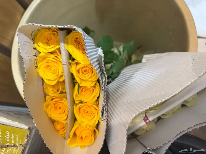 ورد طبيعي بالجملة ليوم المعلم 1