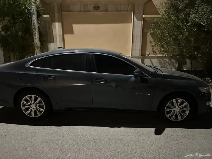 مليبو 2019 4