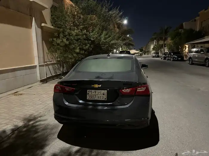 مليبو 2019 3
