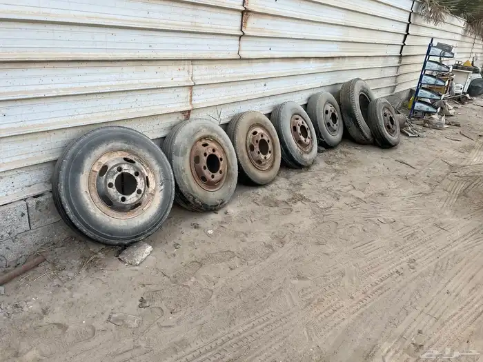 جنوط دينا ستة بلوط وخمس بلوط 2