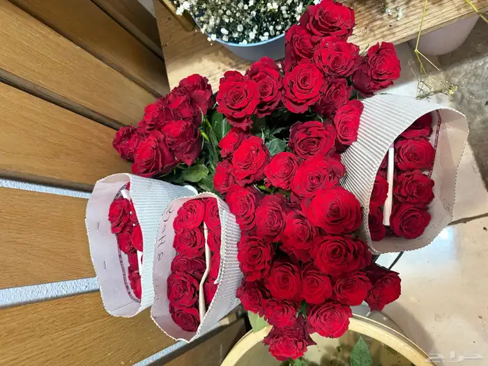 ورد طبيعي بالجملة ليوم المعلم 0