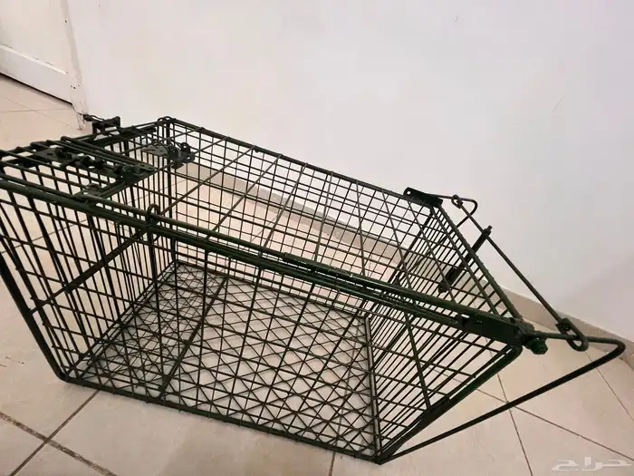 مصيده تمتيك 7