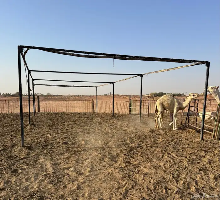 مواصير مضلة تركيب مع كامل أغراضه بدون شراع. 2