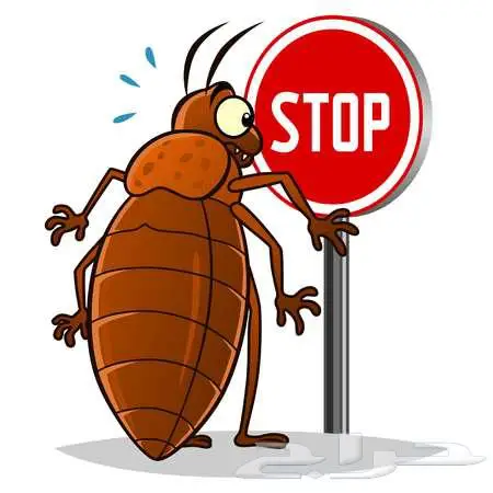 شركة مكافحة حشرات بمكة رش مبيدات للحشرات بمكة 1