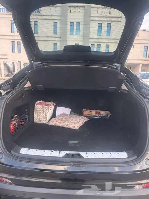 توجيلا 2022 12