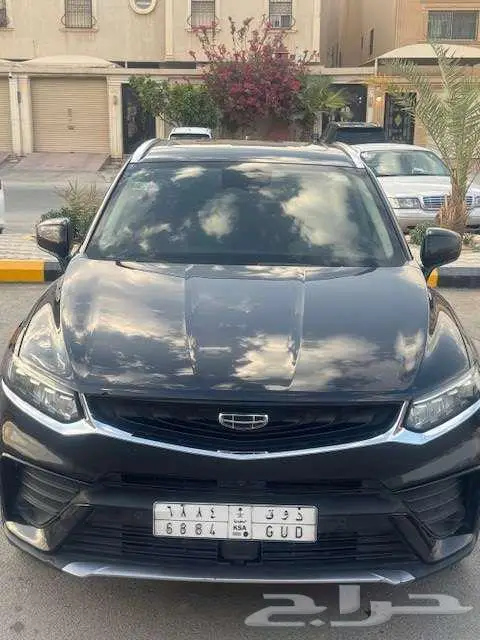 توجيلا 2022 4