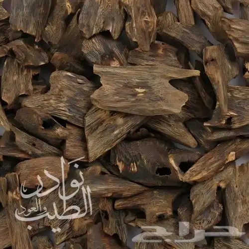 عود كينامي طبيعي دبل سوبر 0
