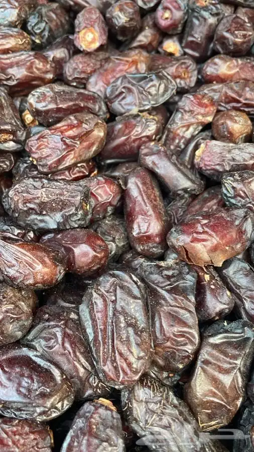 تمر صفاوي وربيعه 2