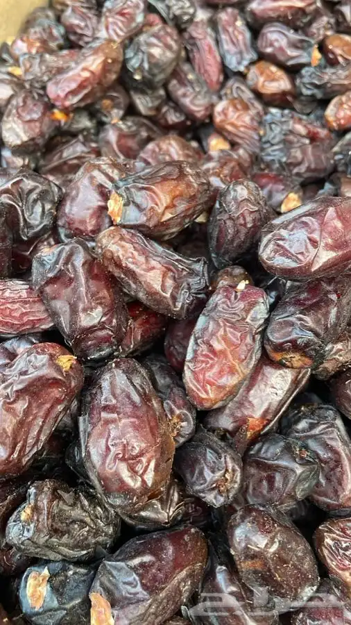 تمر صفاوي وربيعه 1