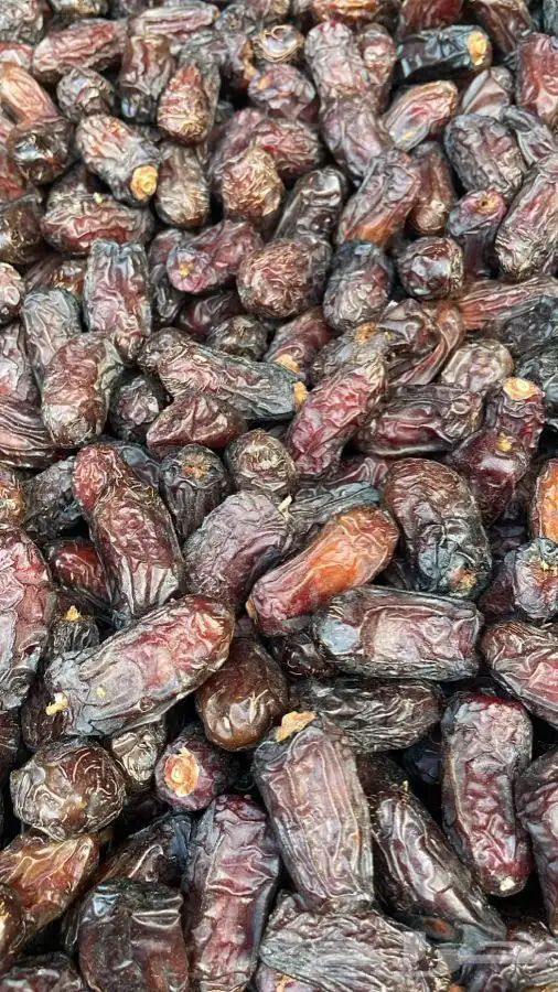 تمر صفاوي وربيعه 3