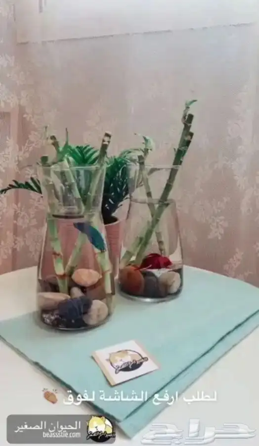 سمك الفايتر 3