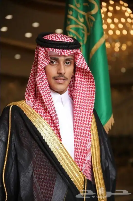 مصور كل شيء ولأي شيء 3