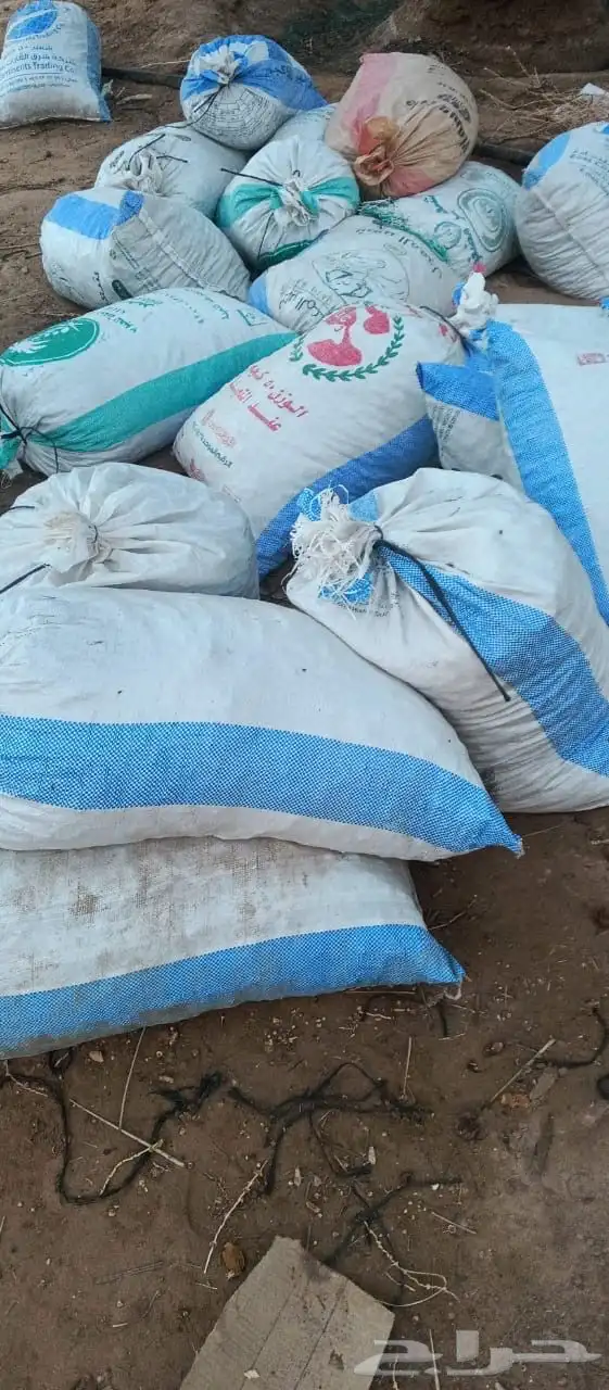 طريق الفرعة وادي الدواسر 0