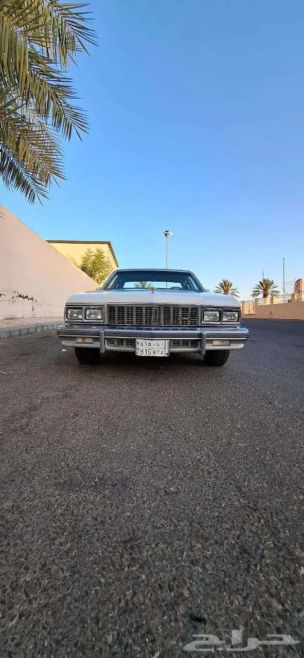 كابرس 79 بتبوك 12
