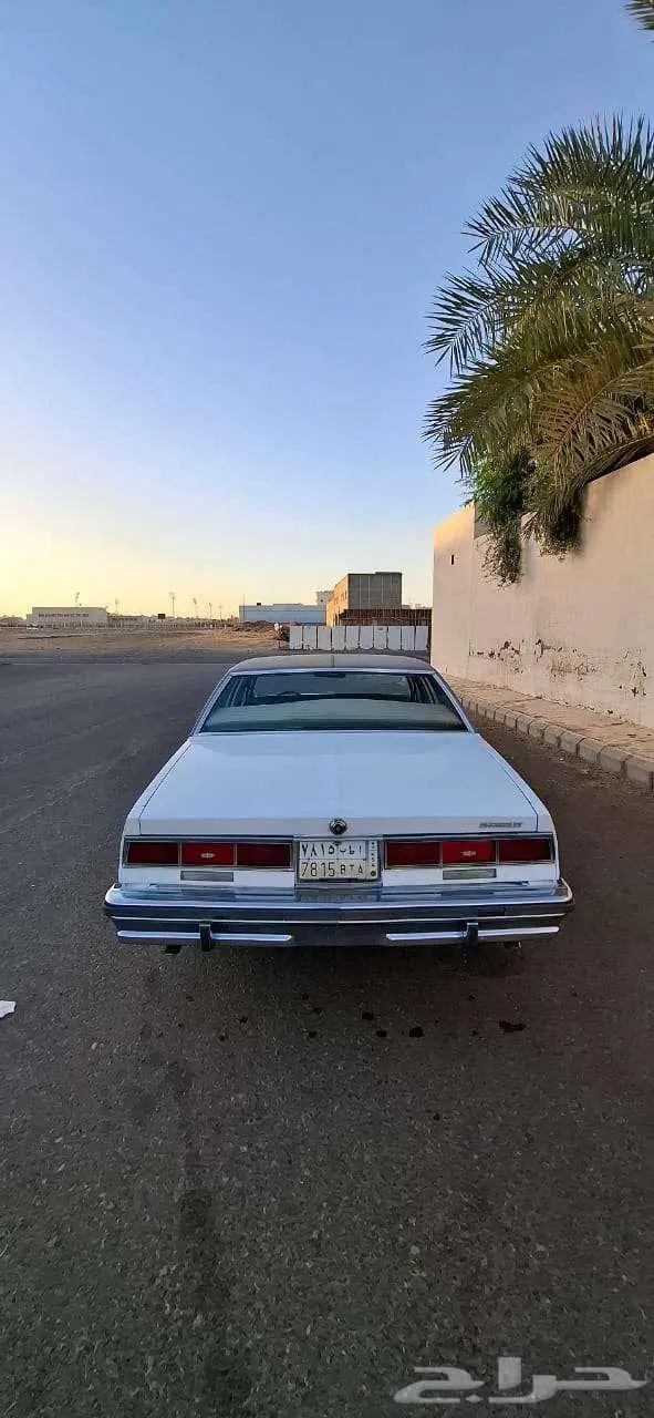 كابرس 79 بتبوك 8